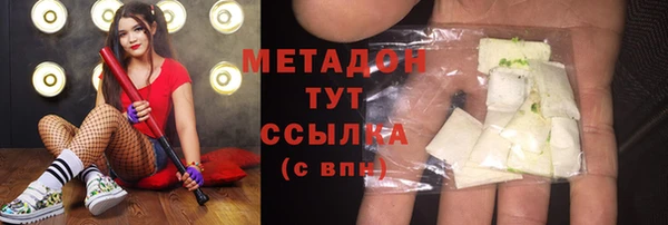прущие грибы Наволоки