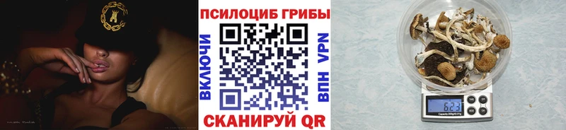 Псилоцибиновые грибы Psilocybe  Заводоуковск 