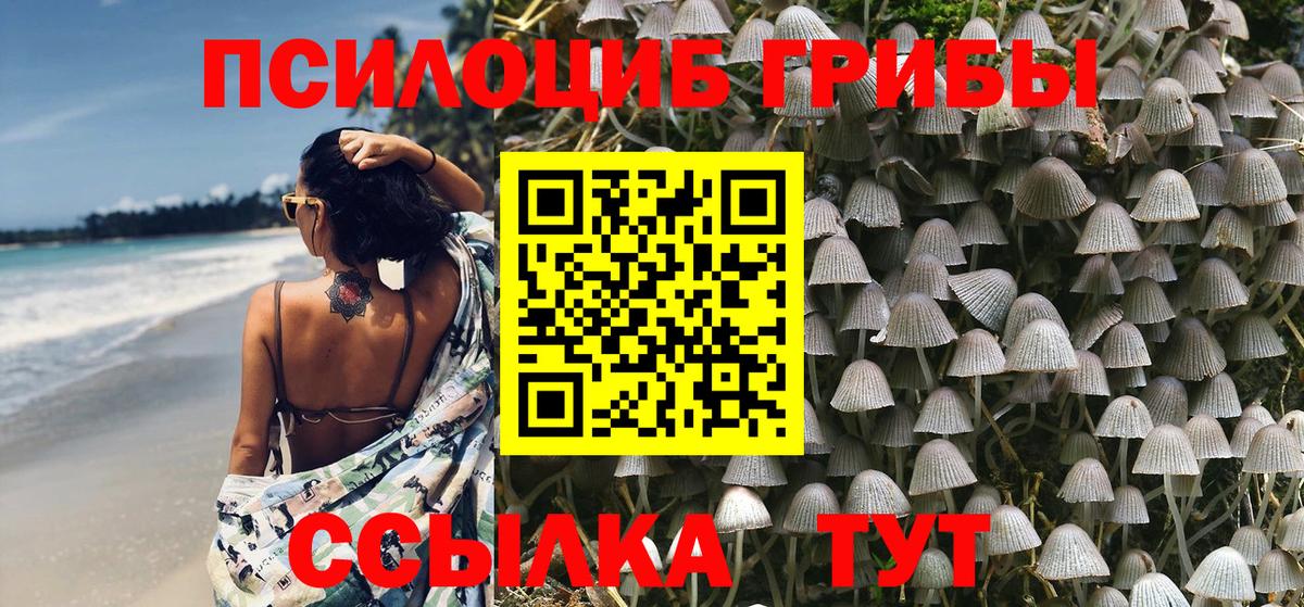 Псилоцибиновые грибы Cubensis  где купить наркотик  Галлюциногенные грибы MAGIC MUSHROOMS  Заводоуковск 