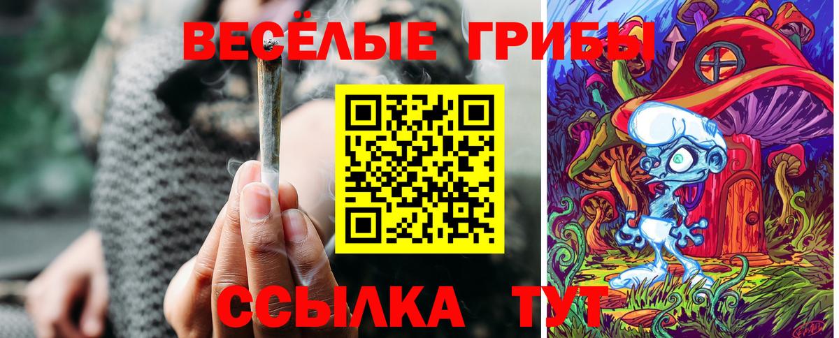 Галлюциногенные грибы прущие грибы Заводоуковск